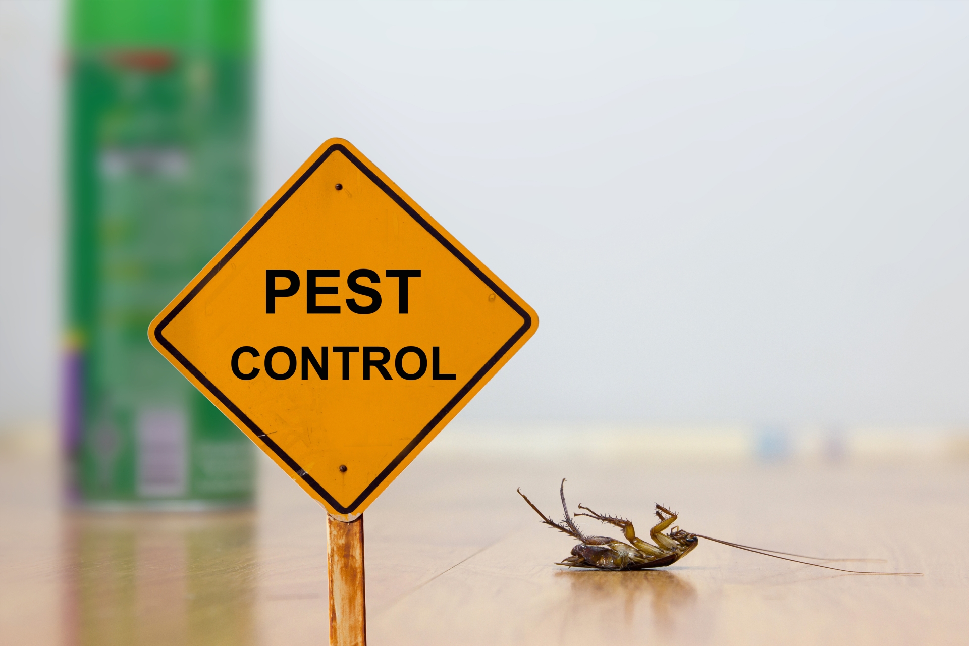 24 Hour Pest Control, Pest Control in Tottenham, N17. Call Now 020 8166 9746